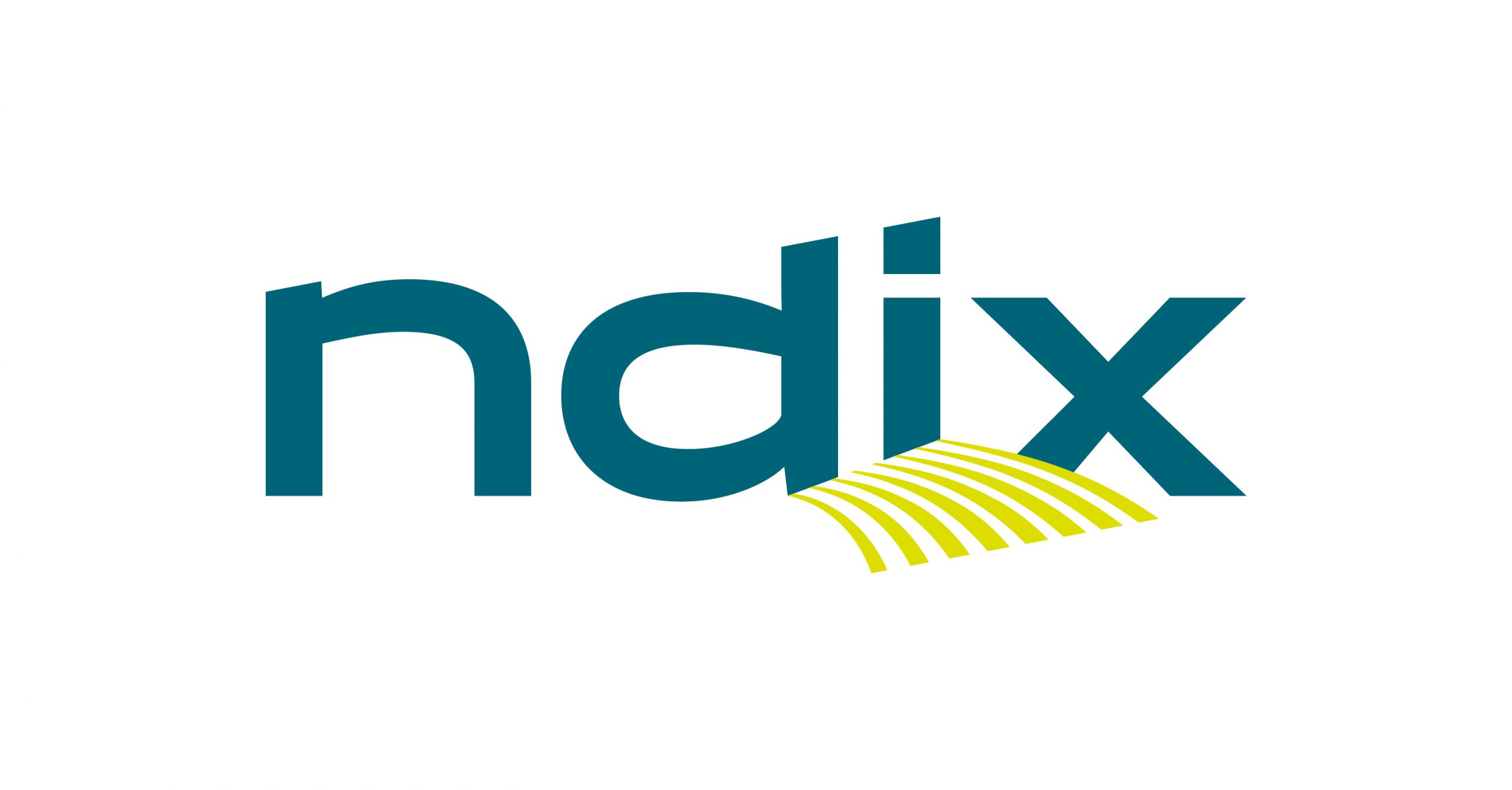NDIX Next Level Connectivity logo 